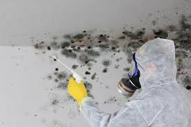 Environmental Consulting for Mold Prevention in North Plymouth, MA